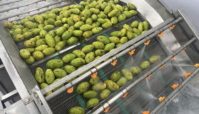 PROCESSING PLANT FOR RENT